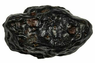 Chondrite Meteorite ( g) - NWA #333056