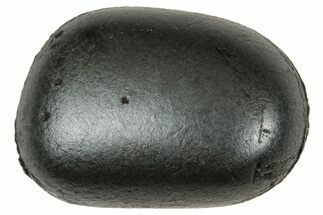 Fusion Crusted Sikhote-Alin Iron Meteorite ( g) - Russia #333107