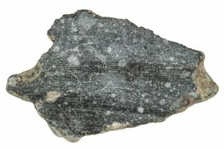 Polished Lunar Meteorite ( g) End Cut Slice - NWA #333132