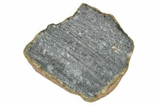 Polished Lunar Meteorite ( g) End Cut Slice - NWA #333151