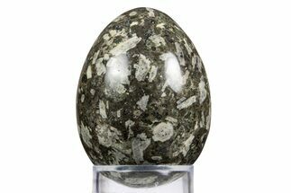 Polished Chinese Writing Rock Egg - Utah #334122