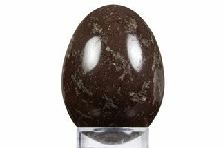 Polished Chinese Writing Rock Egg - Mexico #334158