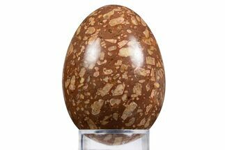 Polished Chinese Writing Rock Egg - Arizona #334160