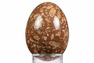 Polished Chinese Writing Rock Egg - Arizona #334161