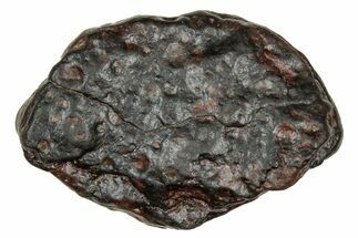 Carbonaceous Chondrite Meteorite ( g) - NWA #334342