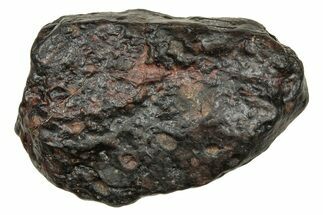 Carbonaceous Chondrite Meteorite ( g) - NWA #334344