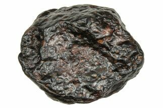 Chondrite Meteorite ( g) - NWA #334364