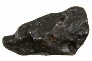 Fusion Crusted Sikhote-Alin Iron Meteorite ( g) - Russia #334593