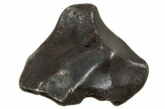Fusion Crusted Sikhote-Alin Iron Meteorite ( g) - Russia #334606