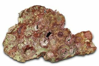 Polished Spiderweb Jasper Slab - Oregon #334882