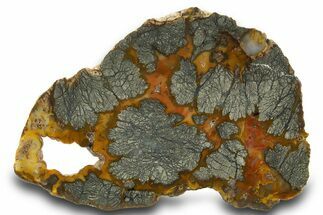Colorful Polished Marcasite Agate Slab - Indonesia #334896