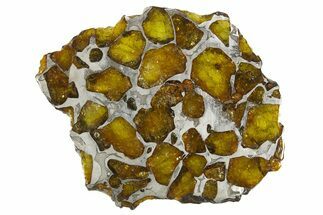 Polished Imilac Pallasite Meteorite ( g) Slice #334647