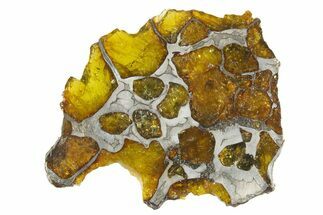 Polished Imilac Pallasite Meteorite ( g) Slice #334650