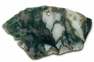 Polished Bear Creek Moss Agate Slab - Oregon #334988