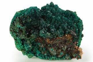 Dioptase Crystal Cluster on Quartz - Sanda, Congo #335202