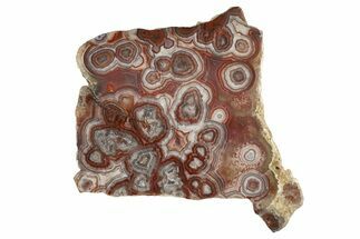 Polished Crazy Lace Agate Slab - Mexico #335036