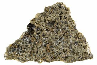 Martian Shergottite Meteorite ( g) Slice - NWA #335322