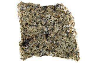 Martian Shergottite Meteorite ( g) Slice - NWA #335326
