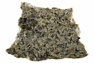 Martian Shergottite Meteorite ( g) Slice - NWA #335328