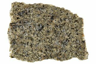 Martian Shergottite Meteorite ( g) Slice - NWA #335338
