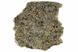 Martian Shergottite Meteorite ( g) Slice - NWA #335345