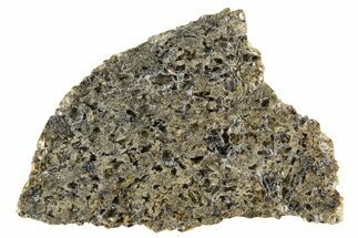 Martian Shergottite Meteorite ( g) Slice - NWA #335347