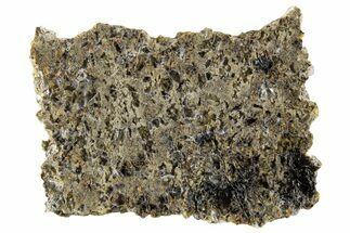 Martian Shergottite Meteorite ( g) Slice - NWA #335349