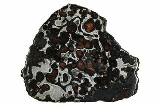 Sericho Pallasite Meteorite ( g) Slice - Kenya #335730