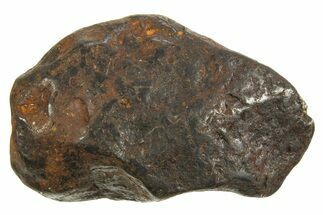 Canyon Diablo Iron Meteorite ( g) - Arizona #335938