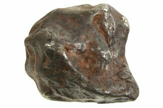 Canyon Diablo Iron Meteorite ( g) - Arizona #335951