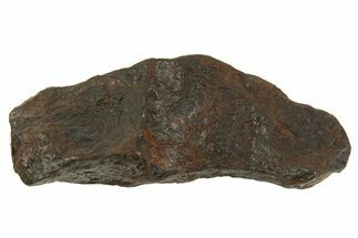 Canyon Diablo Iron Meteorite ( g) - Arizona #335974