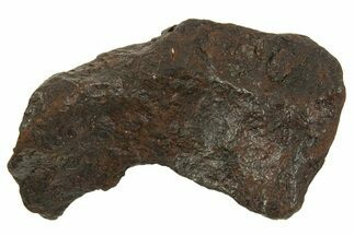 Canyon Diablo Iron Meteorite ( g) - Arizona #335996