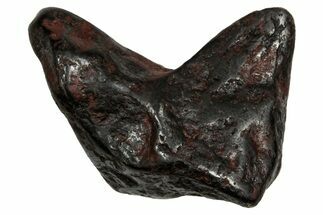 Canyon Diablo Iron Meteorite ( g) - Arizona #336021