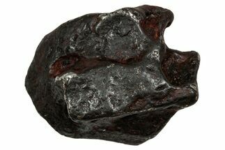 Canyon Diablo Iron Meteorite ( g) - Arizona #336024