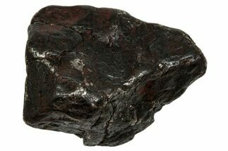 Canyon Diablo Iron Meteorite ( g) - Arizona #336027