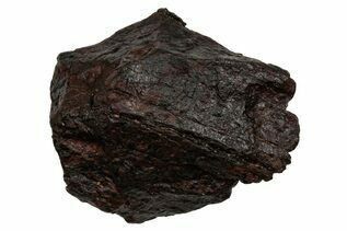 Canyon Diablo Meteorites For Sale