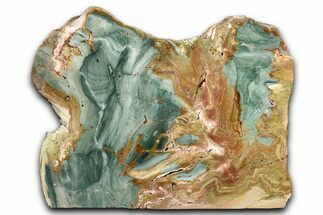Free-Standing, Gary Green Jasper (Larsonite) Bog Wood - Oregon #334812