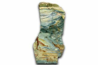 Free-Standing, Gary Green Jasper (Larsonite) Bog Wood - Oregon #334814