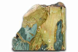 Free-Standing, Gary Green Jasper (Larsonite) Bog Wood - Oregon #334822
