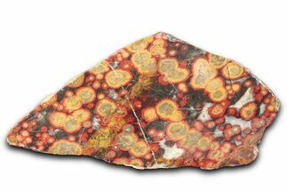 Polished Morgan Hill Poppy Jasper Section - California #336257