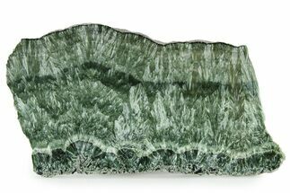 Polished Seraphinite Slab - Korshunovkiy Mine, Siberia #336477