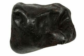 Fusion Crusted Sikhote-Alin Iron Meteorite ( g) - Russia #334533