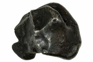 Fusion Crusted Sikhote-Alin Iron Meteorite ( g) - Russia #334553