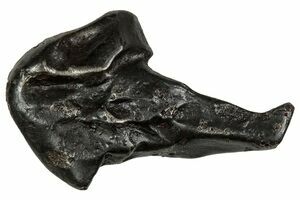 Sikhote-Alin Iron Meteorites For Sale - FossilEra.com