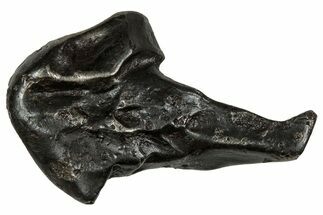 Fusion Crusted Sikhote-Alin Iron Meteorite ( g) - Russia #334562