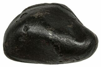 Fusion Crusted Sikhote-Alin Iron Meteorite ( g) - Russia #334572