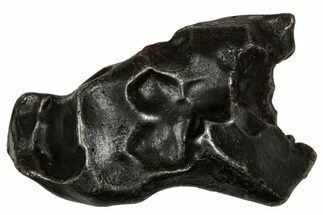 Fusion Crusted Sikhote-Alin Iron Meteorite ( g) - Russia #334577