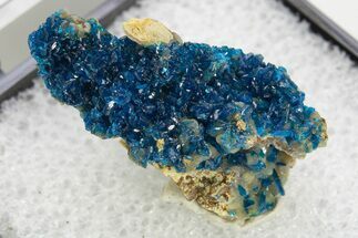 Vibrant Blue Veszelyite Crystal Cluster - China #337103