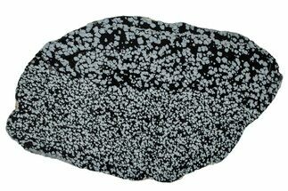 Polished Snowflake Obsidian Slab - Wyoming #336977