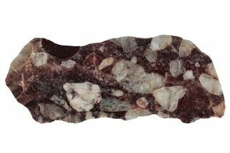 Polished Pudding Stone (Conglomerate) Slab - Michigan #336991